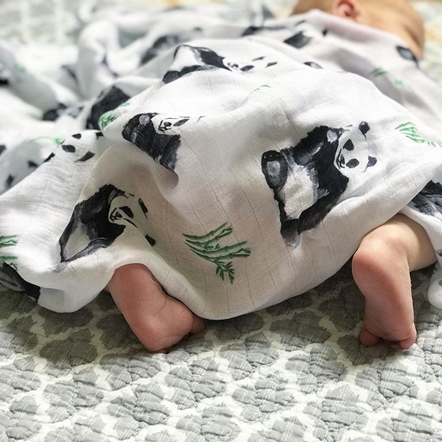 Panda swaddle discount