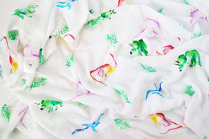 Dinosaur Swaddle