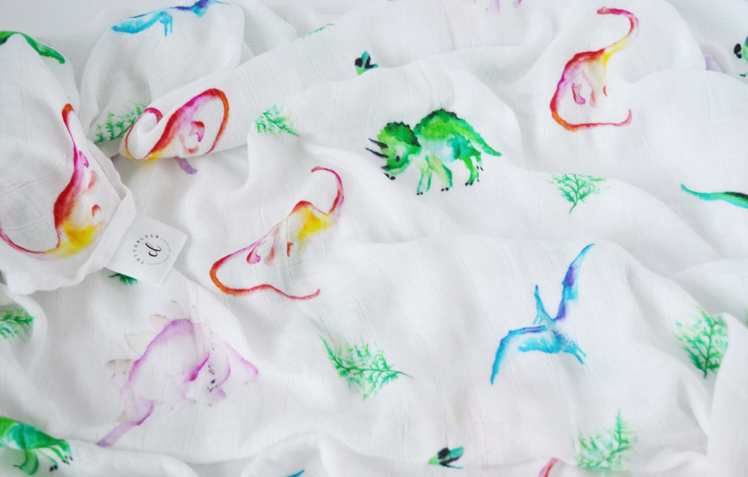 Dinosaur Swaddle